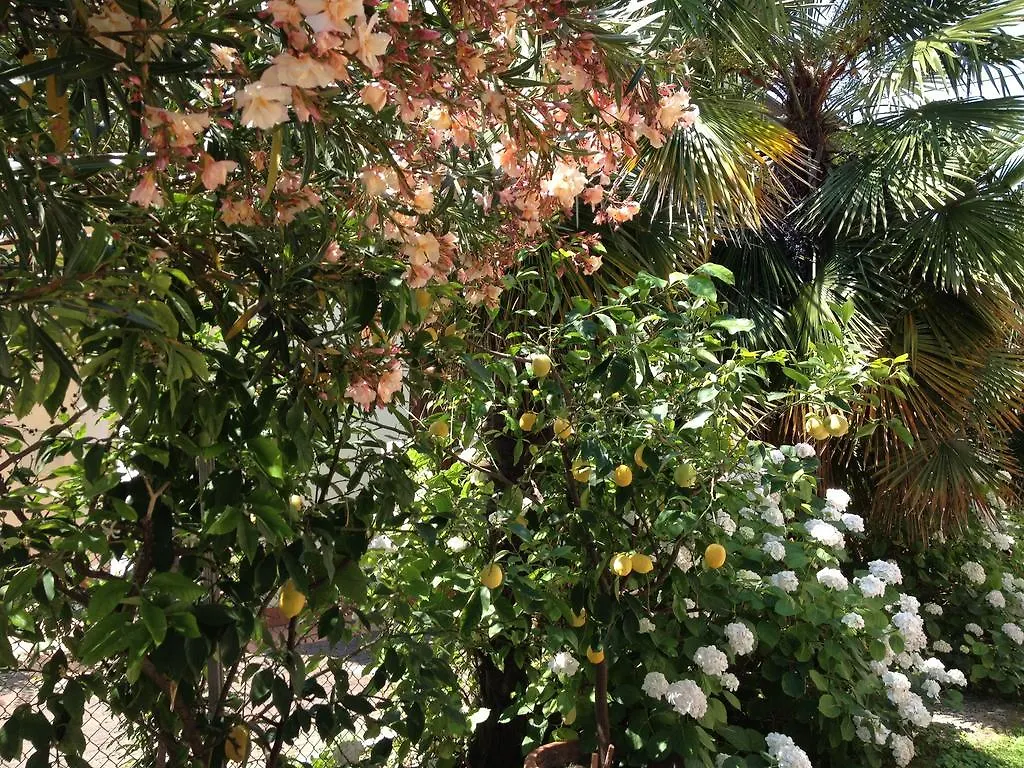 Bed & Breakfast B&B Il Giglio D'Oro Ravenna